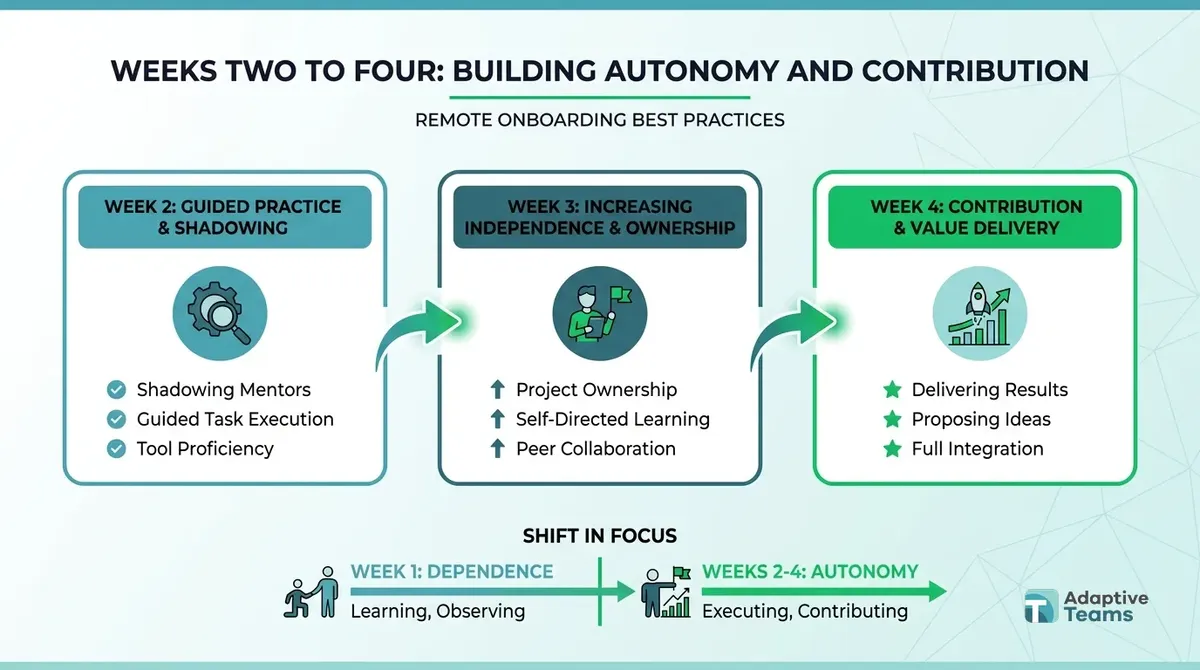 Infographic: Weeks Two to Four: Building Autonomy and Contribution